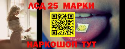 спиды Сланцы