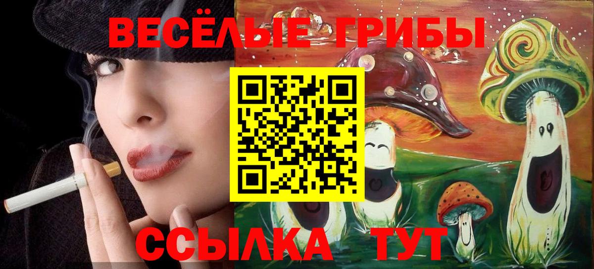 Псилоцибиновые грибы Psilocybe Павлово
